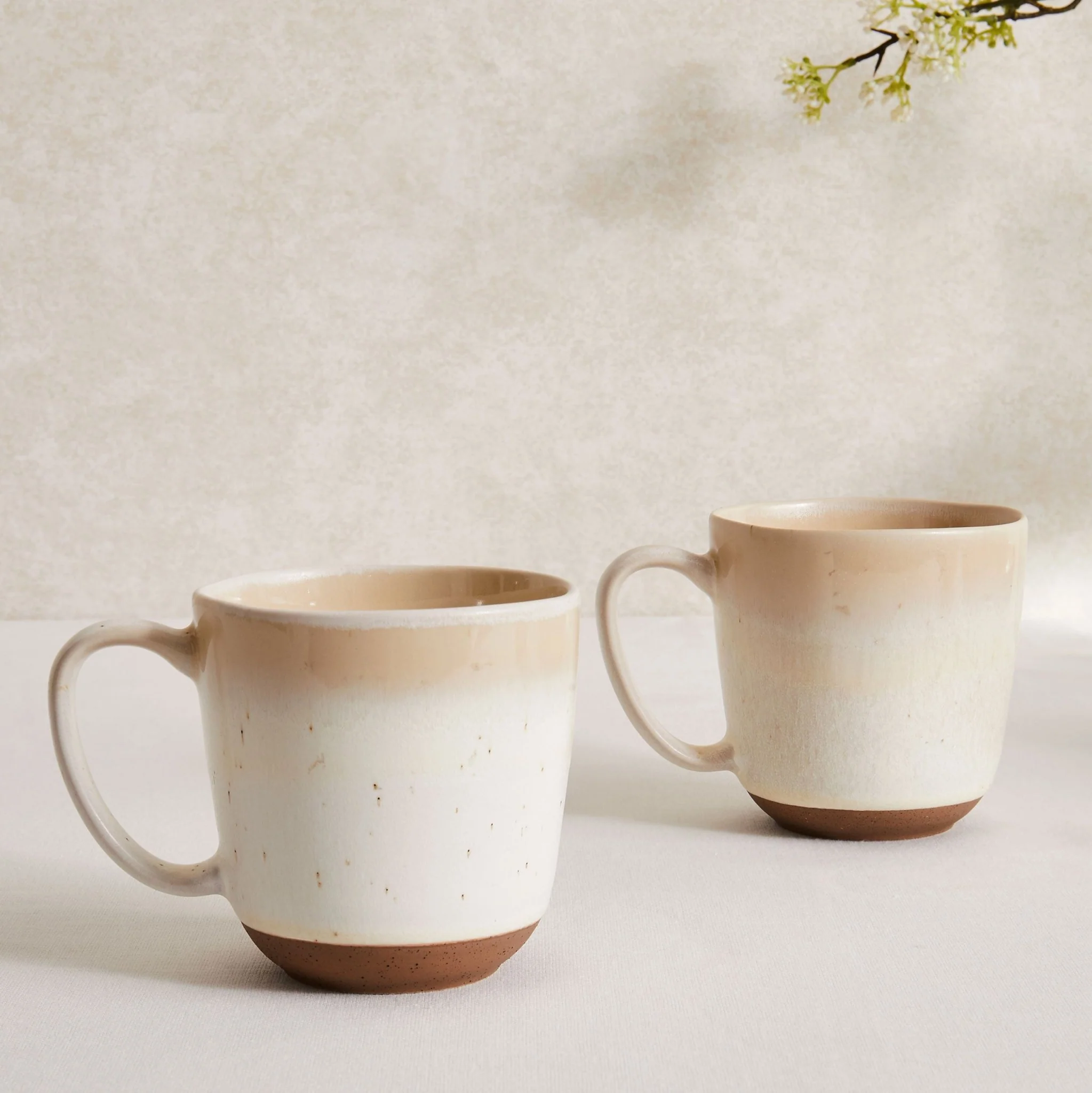 Alfredo Speckled Stoneware Set of 2 Mugs - Natural