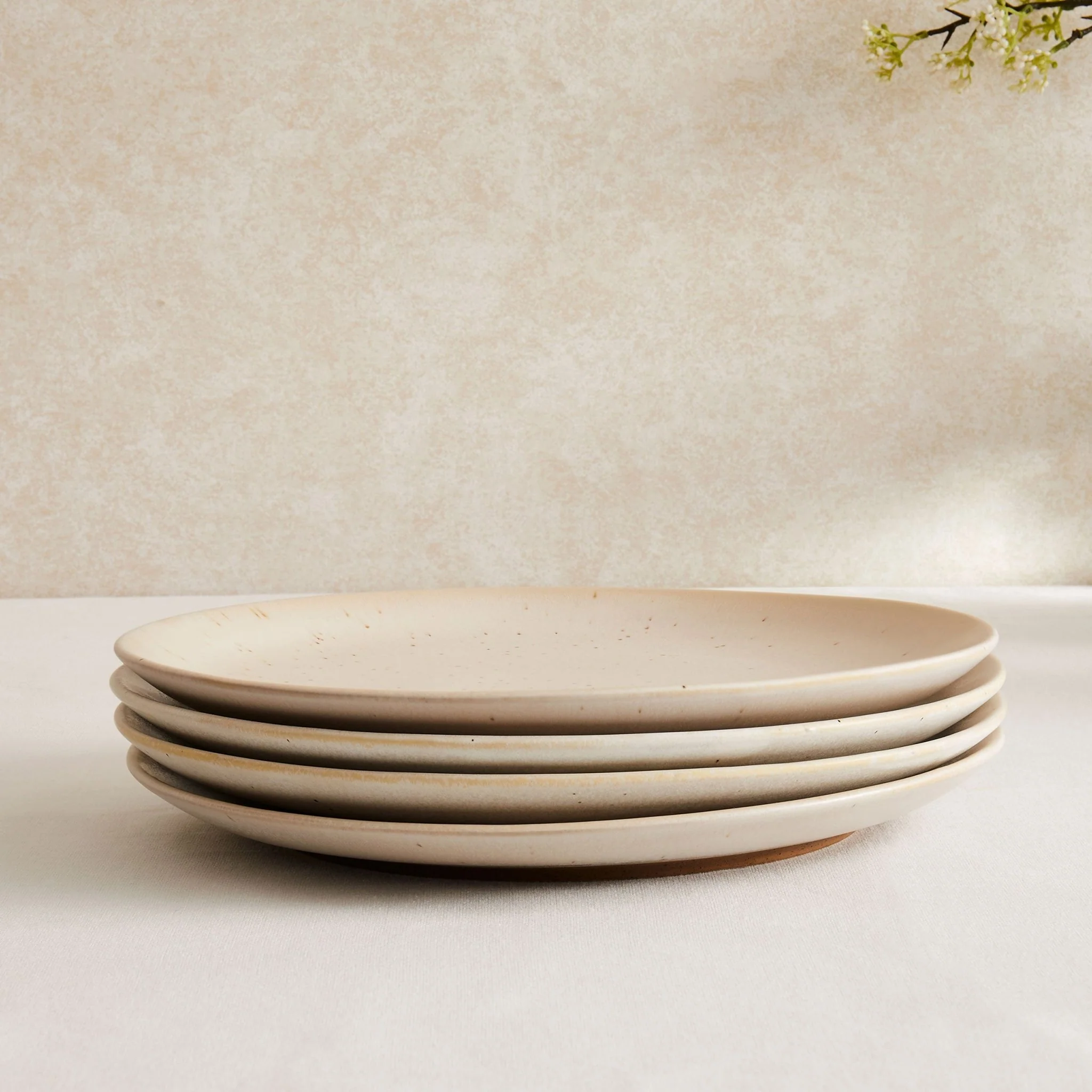 Alfredo Speckled Stoneware Set of 4 Dinner Plates - Natural