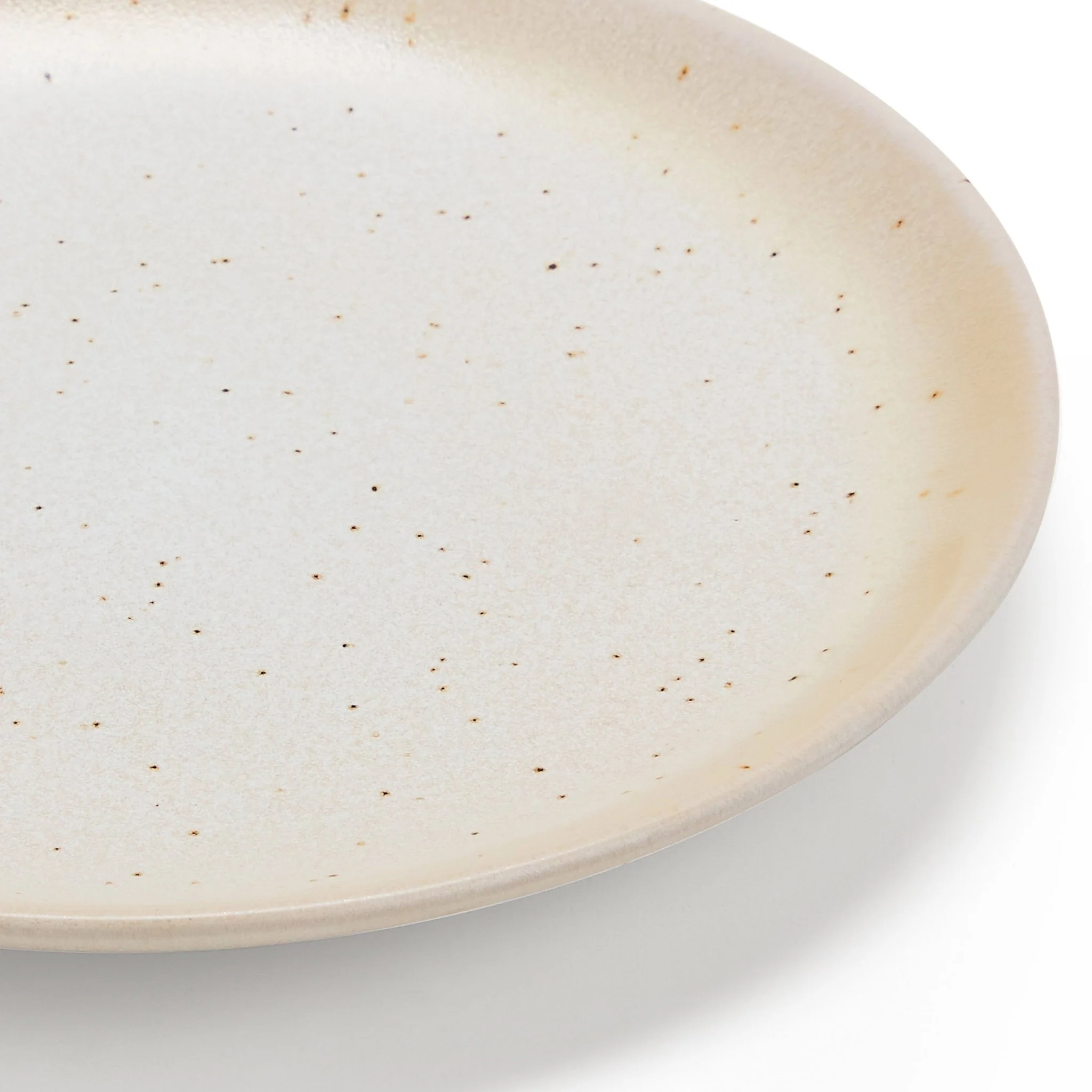 Alfredo Speckled Stoneware Set of 4 Dinner Plates - Natural - Image 5