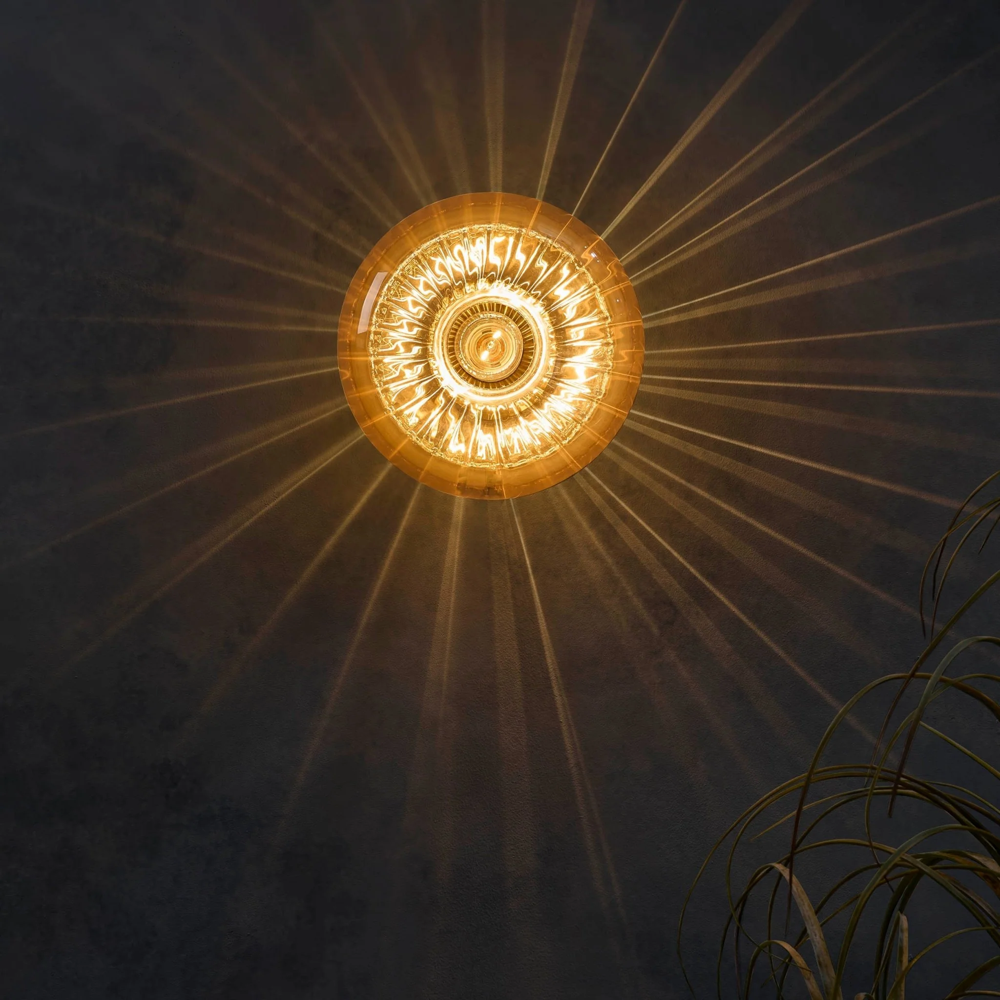 Anillo Glass Ring Wall Light - Amber