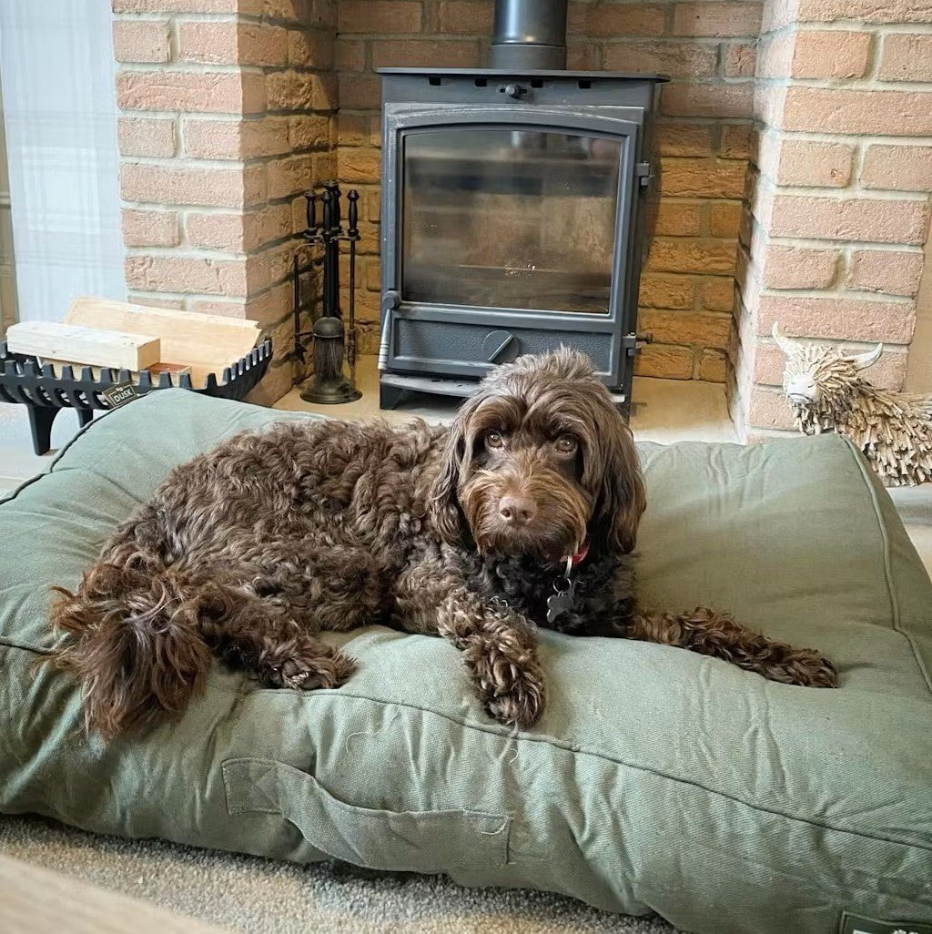 Bailey Pillow Dog Bed - Green - Image 4