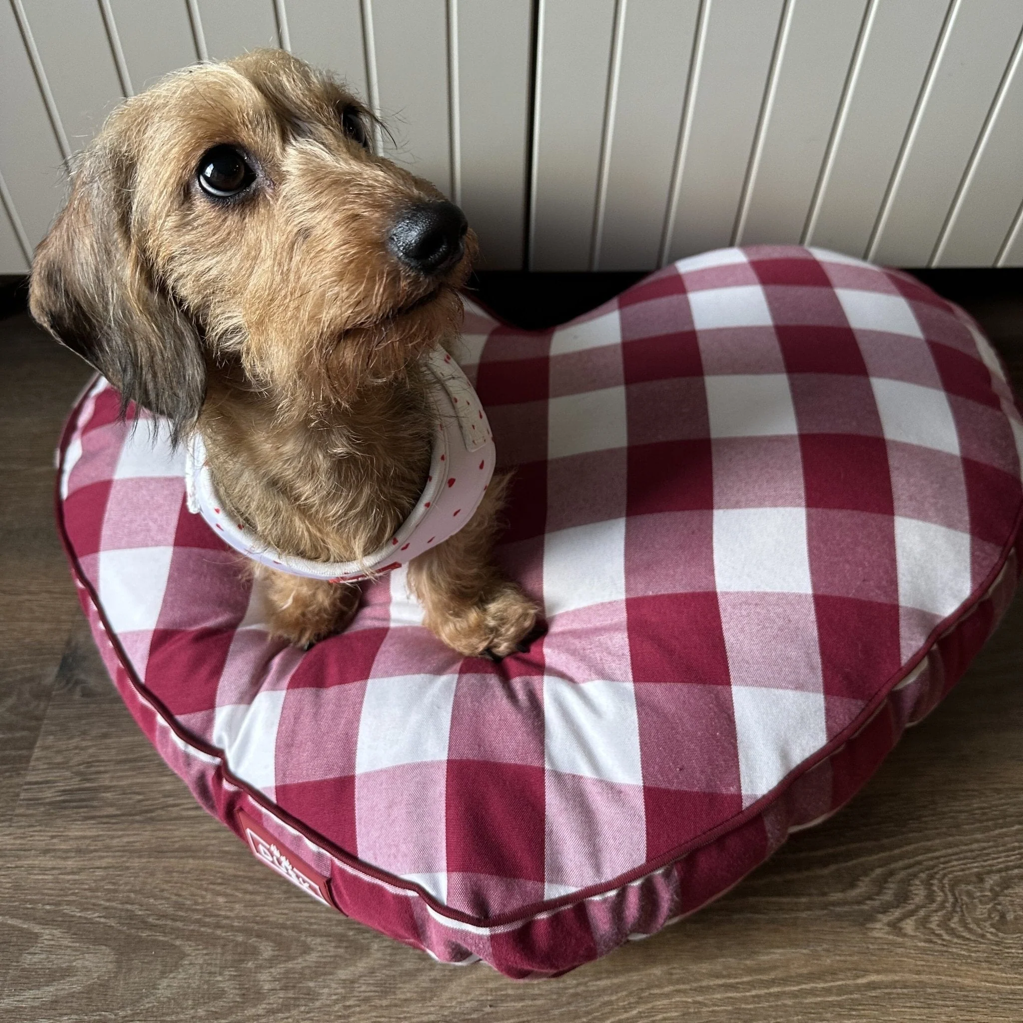 Beau Gingham Love Heart Dog Bed - White/Red - Image 2