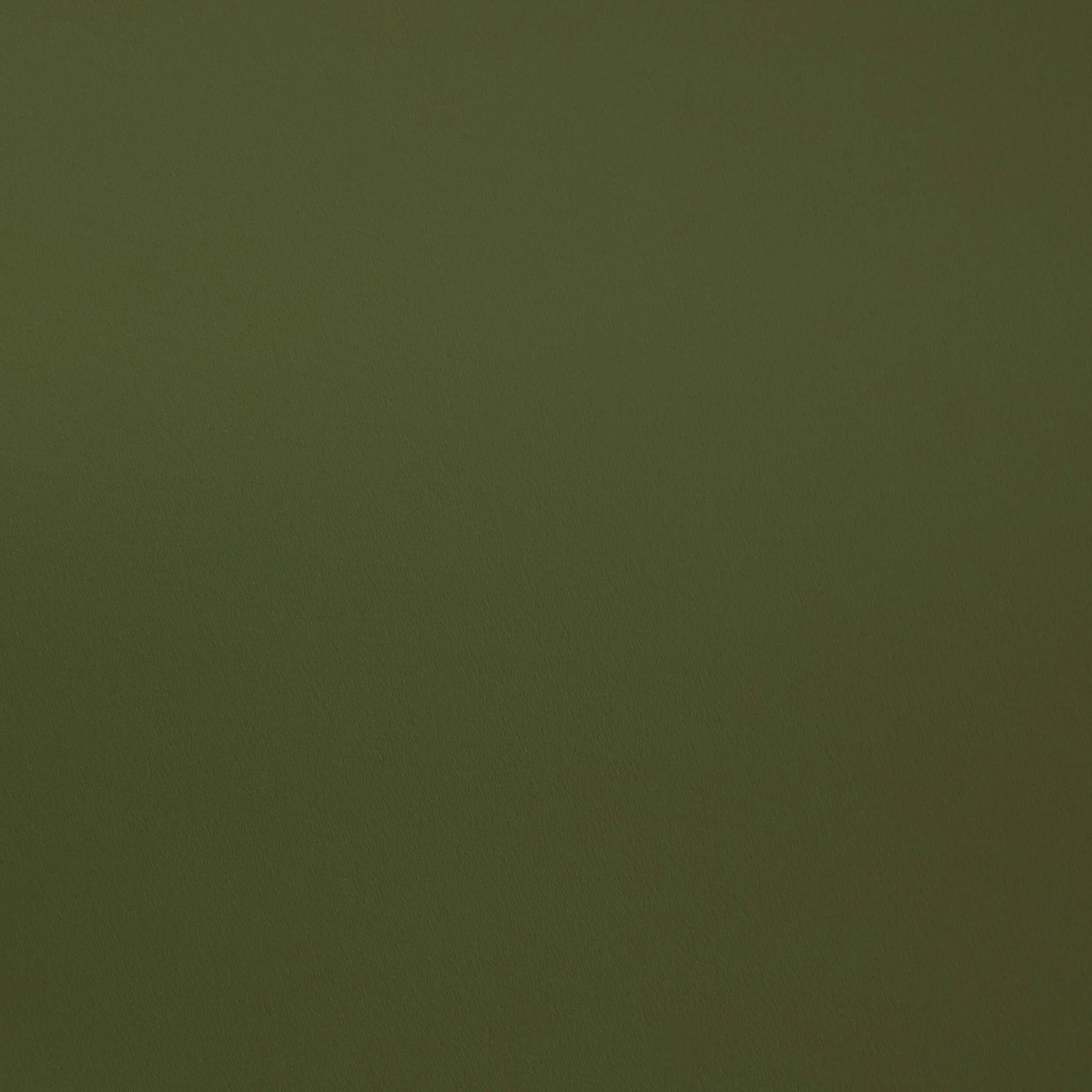 Betty Bookshelf - Olive - Image 7