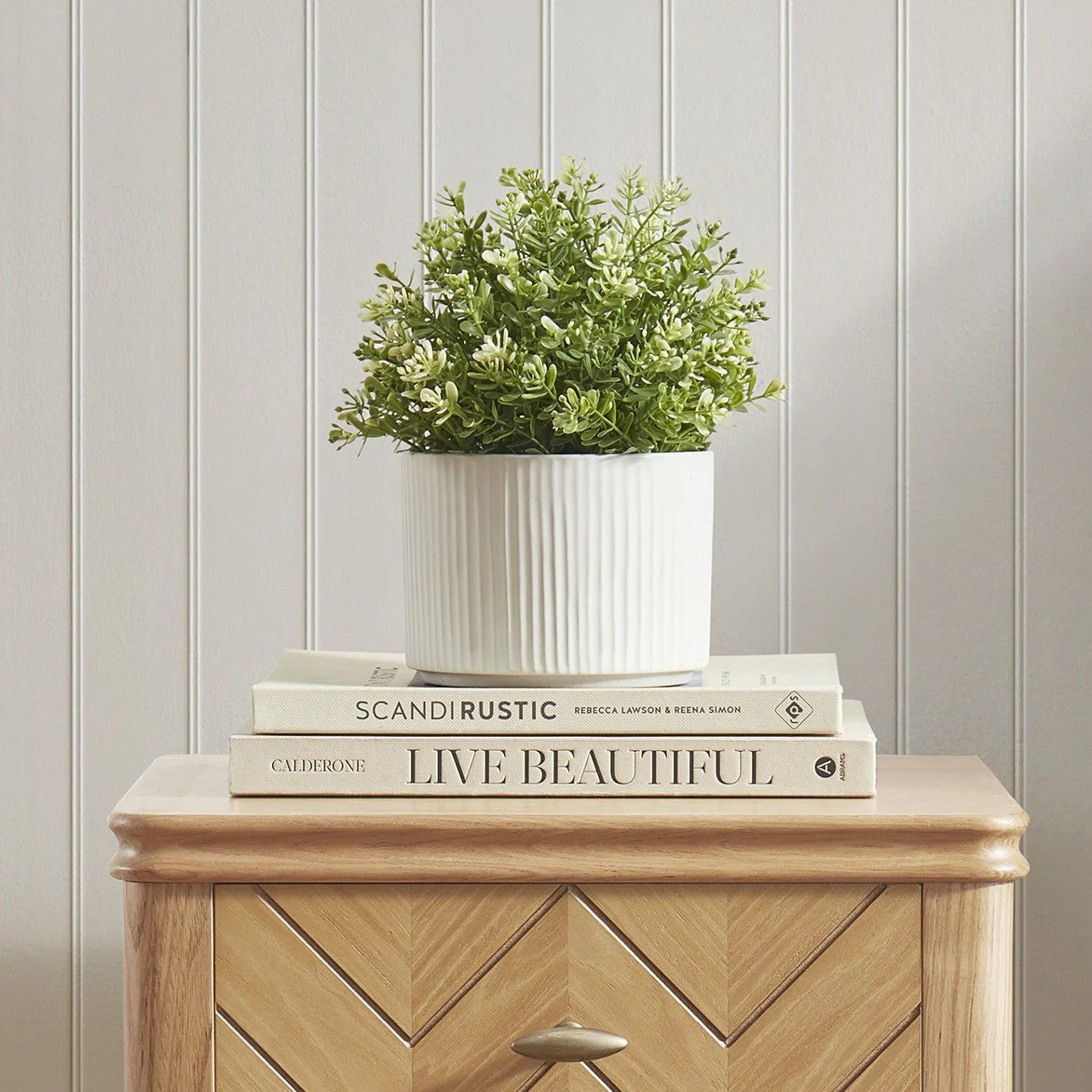 Flora Ribbed Clay Plant Pot - White - Image 5