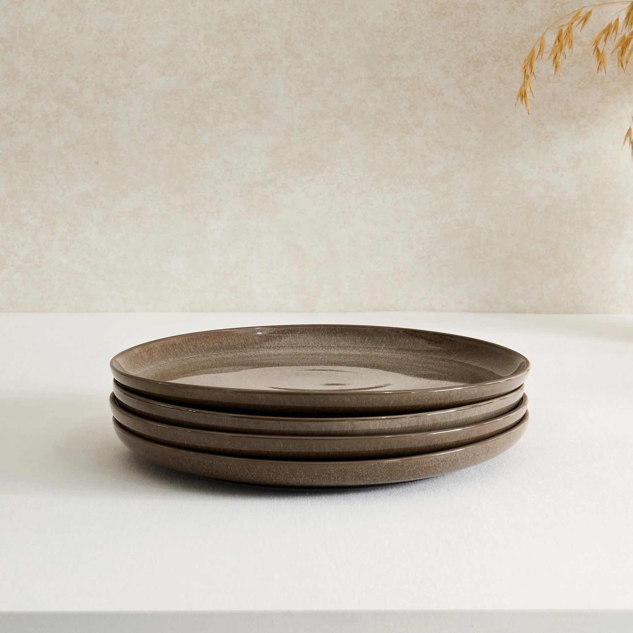 Juniper Reactive Glaze Set of 4 Dinner Plates - Mocha