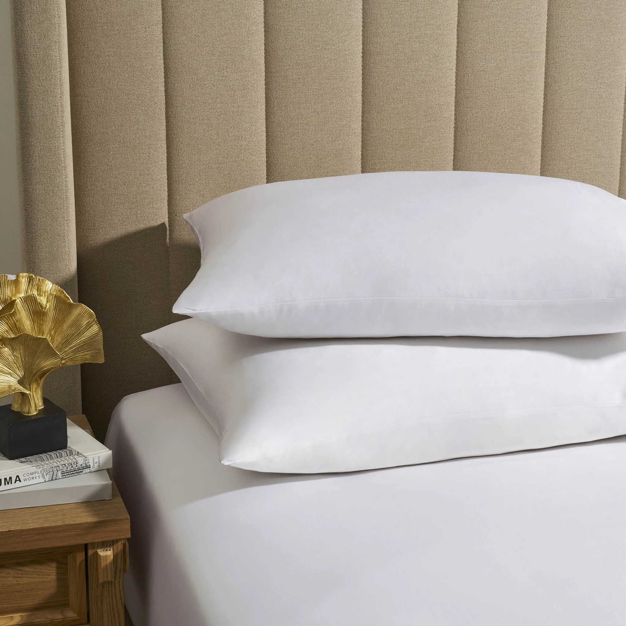 Lyla Feels Like Silk Lyocell Blend Pair of Pillowcases - White