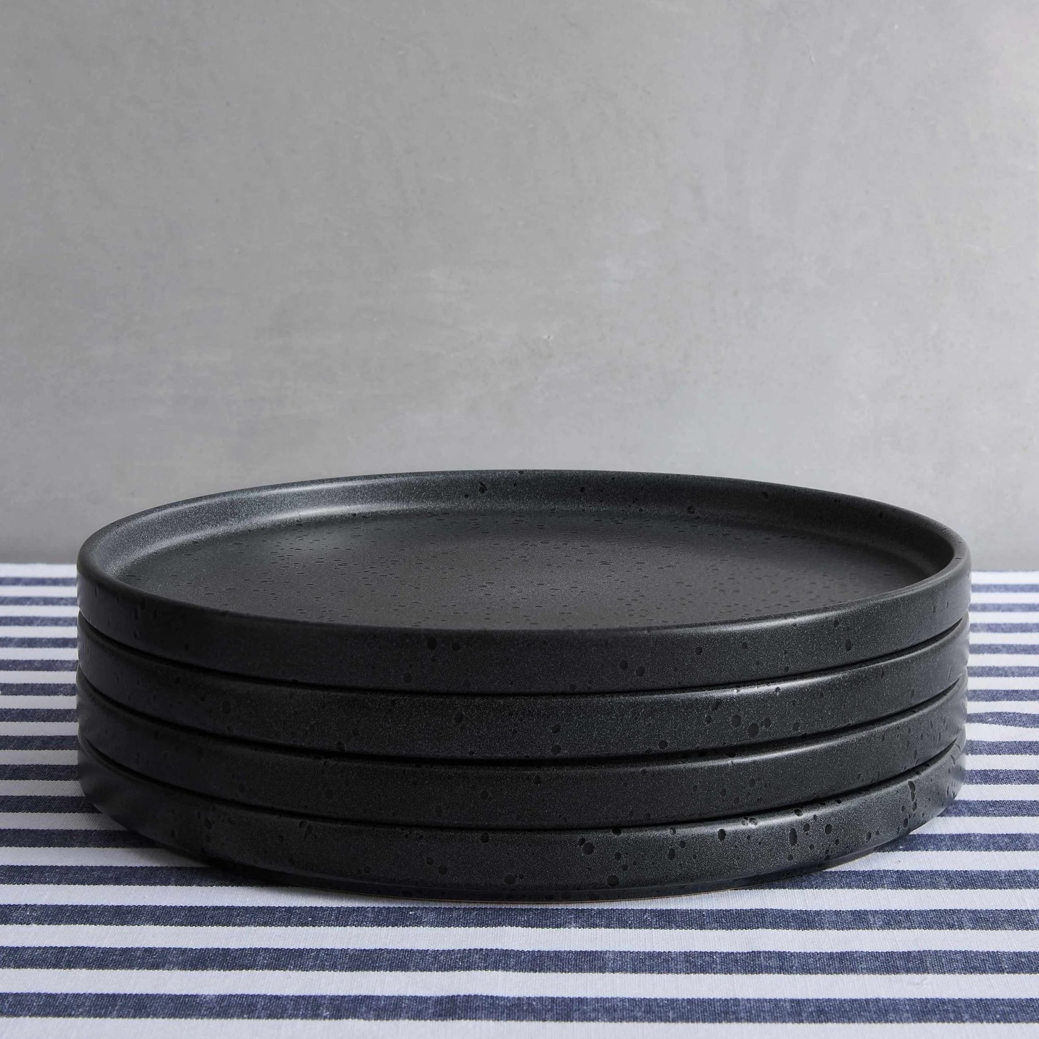 Nori Stoneware Set of 4 Dinner Plates - Speckled Black