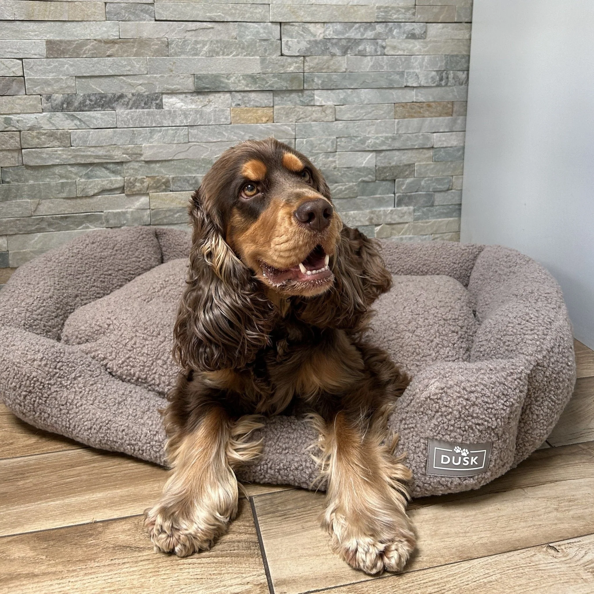 Teddy Basket Dog Bed - Taupe - Image 4