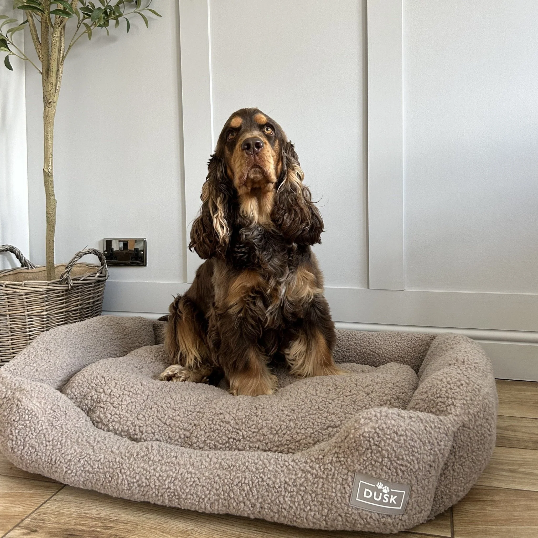 Teddy Basket Dog Bed - Taupe - Image 5